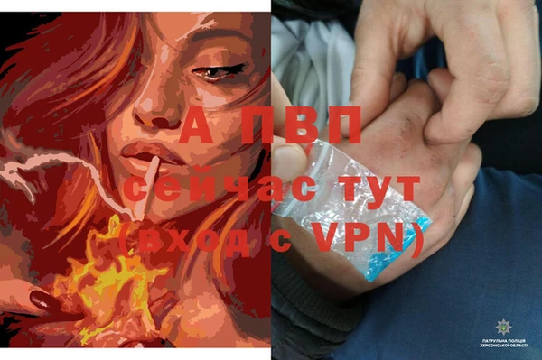 ПСИЛОЦИБИНОВЫЕ ГРИБЫ Рославль